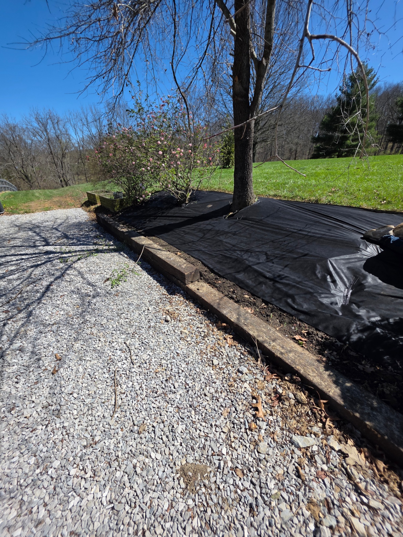 Land Clearing